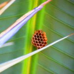 IMG_0325